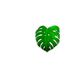 Monstera Leaf Sticker